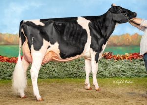 FEMbryos out of her daughters: S-S-I Doc Have Not 8783 EX-92